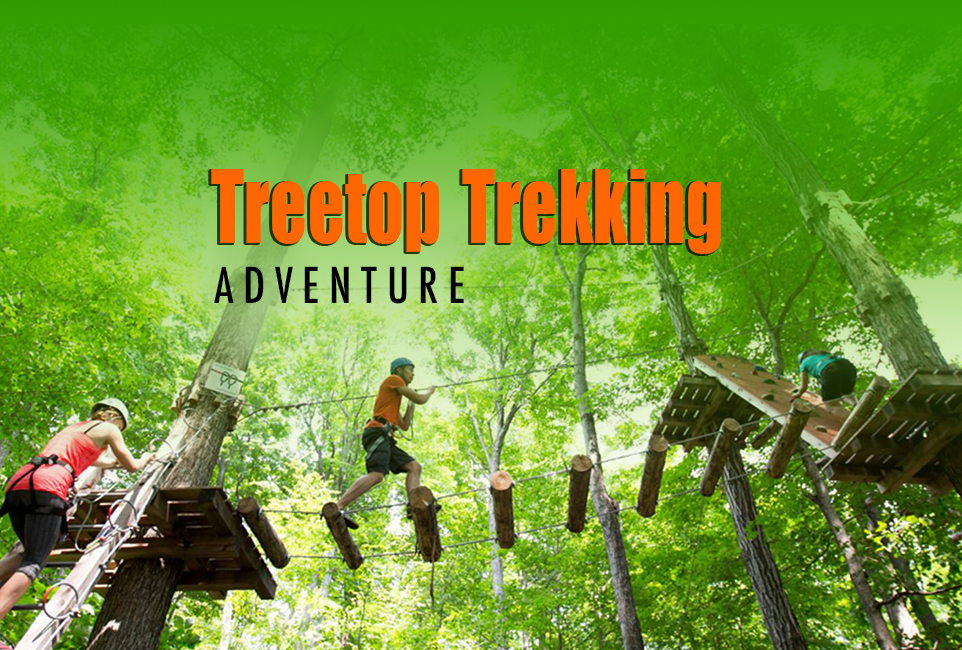 Treetop Trekking Adventure