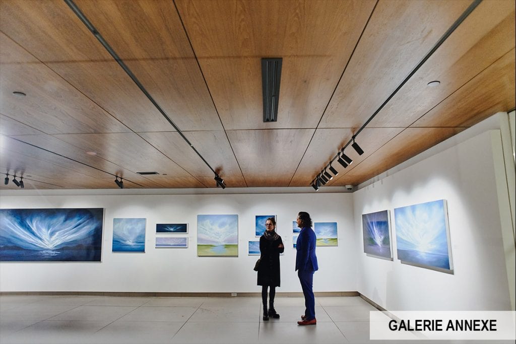 Ottawa Art Gallery | 7 Dynamic Spaces in Ottawa's Newest Downtown Venue